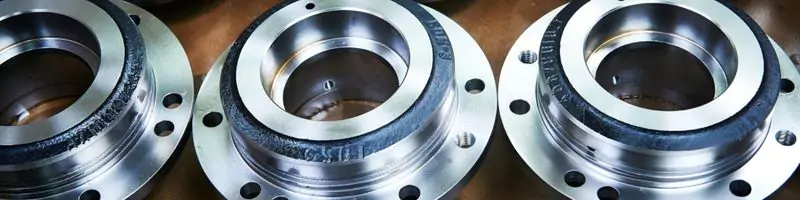 Stainless Steel Flanges