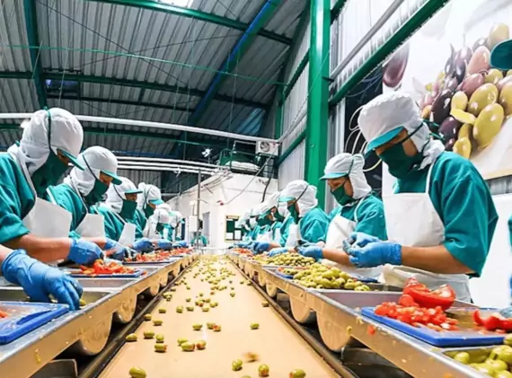 Food Processing Equipment Manufacturing For OEMs E S HAJI CO